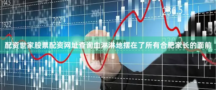 配资世家股票配资网址查询血淋淋地摆在了所有合肥家长的面前