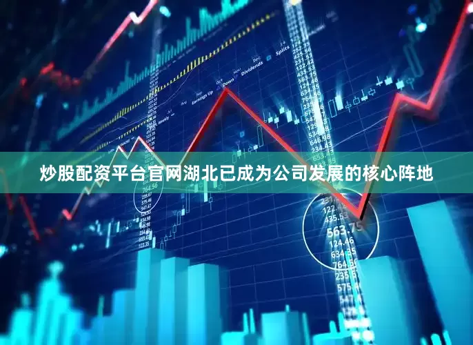 炒股配资平台官网湖北已成为公司发展的核心阵地