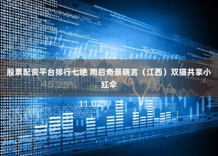 股票配资平台排行七绝 雨后奇景晓言（江西）双猫共掌小红伞